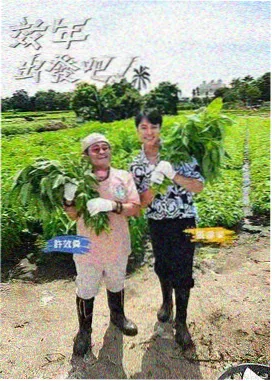 开口音副歌合集歌单封面